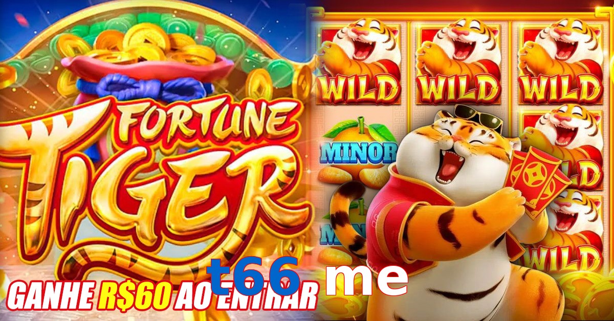 t66 me